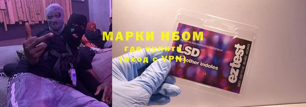 ГАЛЛЮЦИНОГЕННЫЕ ГРИБЫ Лабытнанги
