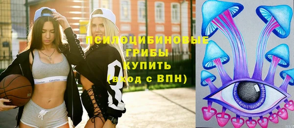 амф Кулебаки