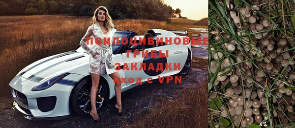 альфа пвп Куйбышев