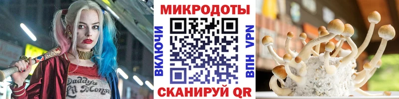 как найти закладки  Новотитаровская  Галлюциногенные грибы Cubensis 